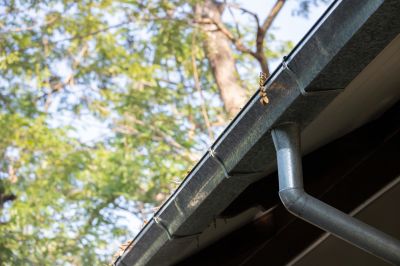 Gutter System Inspection