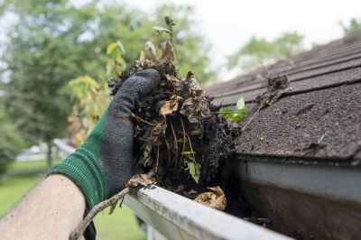 Cleaning After Storms